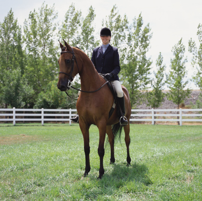 horse-riding1.jpg