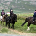 Do You Want Your Riding School Business To Have a Higher Income?