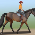 Does My Butt Look Big In This Saddle?