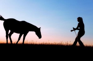 Lunging on a horse