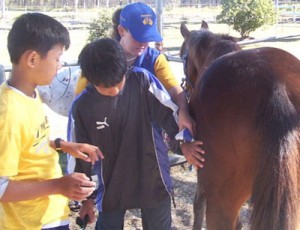 horse-riding-instructor1