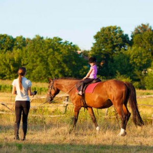 teaching-student-on-lunge