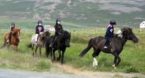 horseridingschool