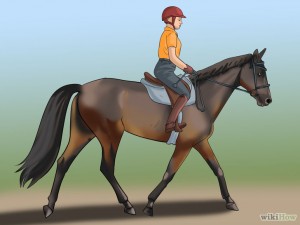 Good-Horse-Rider