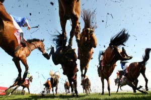 horse-racing